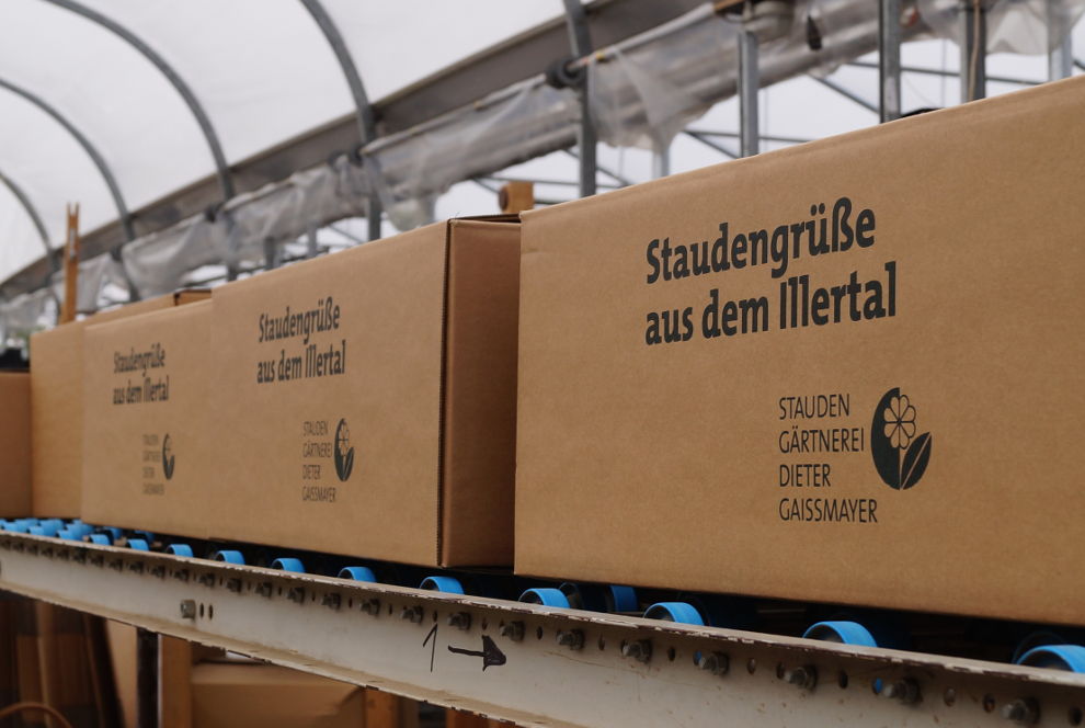 Das Finale ist eröffnet!